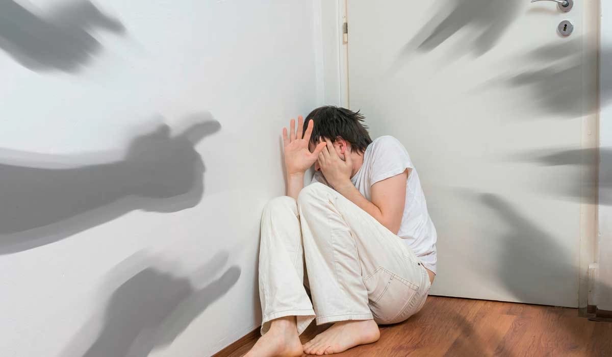 Параноидная шизофрения – причины и симптомы